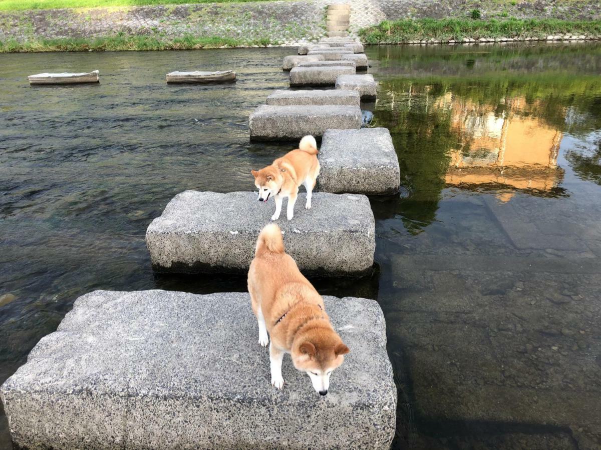 Seibido Inn Kyoto Dış mekan fotoğraf